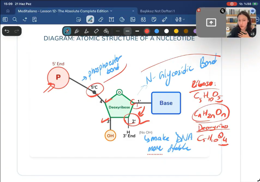 Isil teaching DNA structure in the six-month biology group class